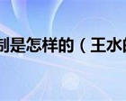 王中王高手心水资料论坛