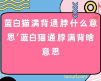 网络鸭脖什么意思